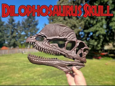 Dilophosaurus Skull
