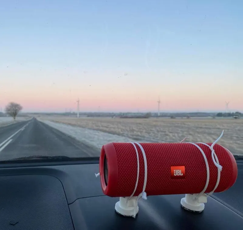 Speaker mount
