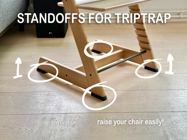 https://makerworld.bblmw.com/makerworld/model/US586ccb4317dffe/design/2025-01-29_3cabd84a6d3e9.jpeg