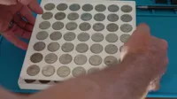 Coin bins - Various US Coins