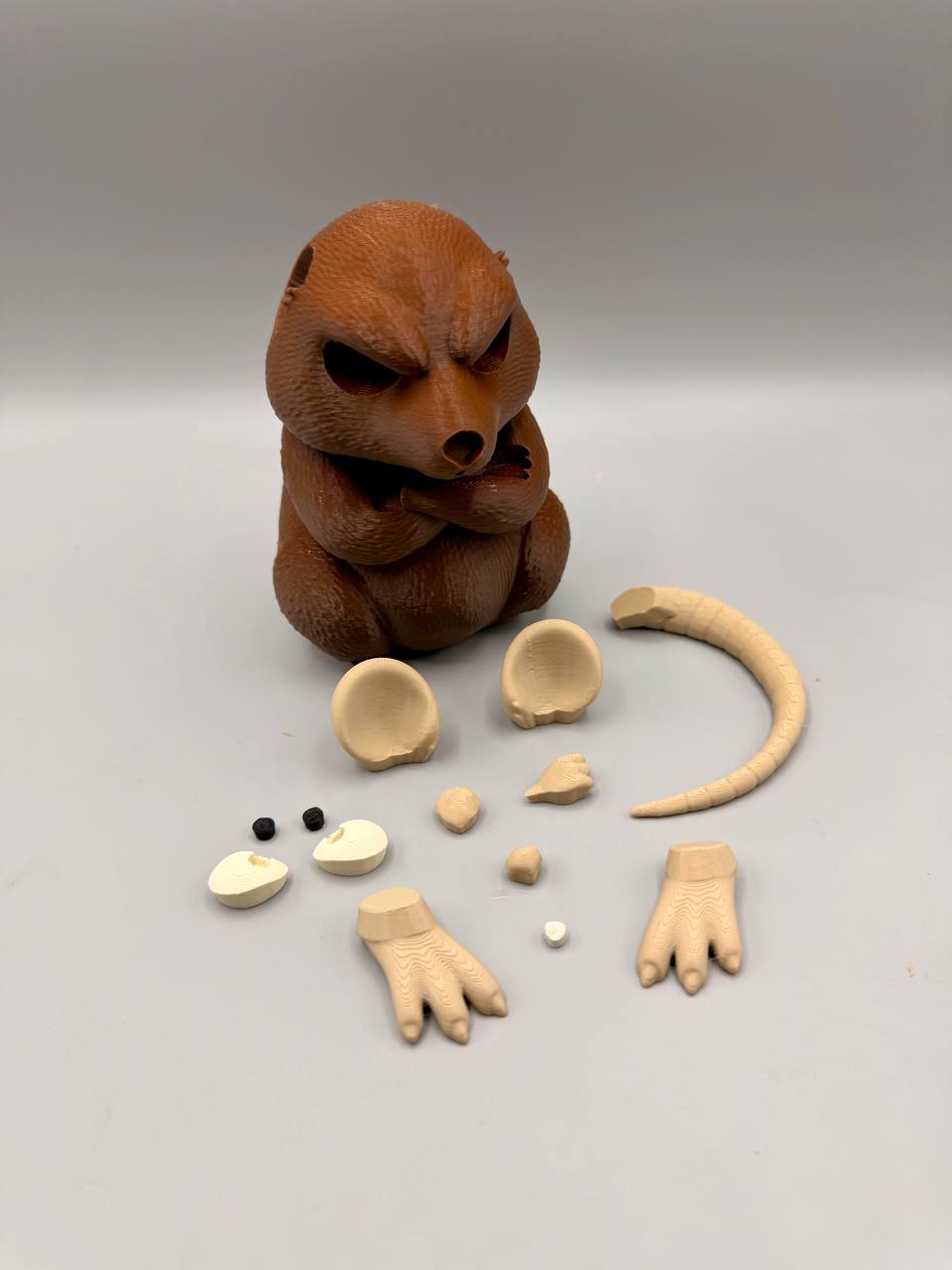 Grumpy Rat - 1