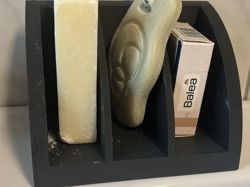 3-Slot Soap Organizer