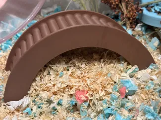 Hamster Bridge (Small Pet Bridge)