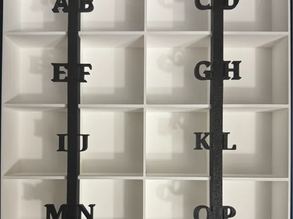 https://makerworld.bblmw.com/makerworld/model/US5876353d813907/design/f63d86781657199a.jpg