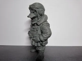 Duck Pilot