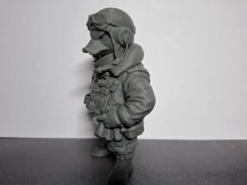 Duck Pilot