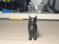 Lynx — photo 2