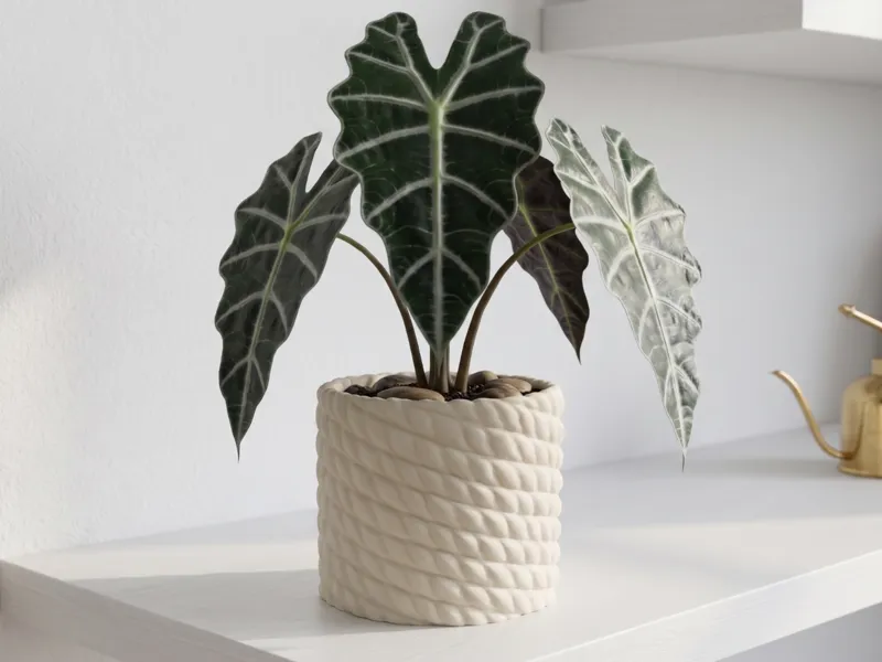 Organic Woven Rope Planter - Modern Plant Pot