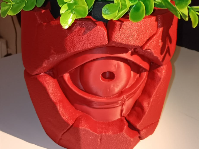 The Watcher in the Stone | Hidden Drainage Planter