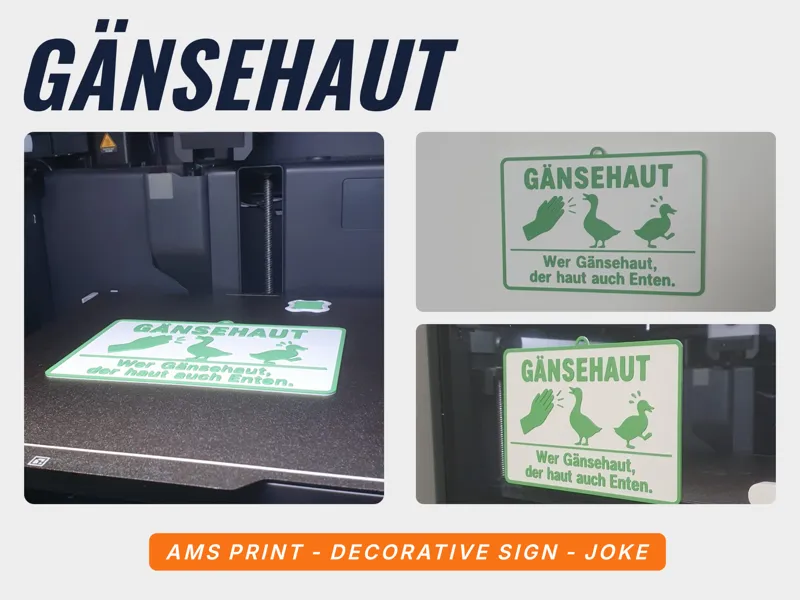GÄNSEHAUT – The Most German Sign Ever 