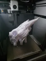 Floral Elegance - BAS Antler Mount Skull