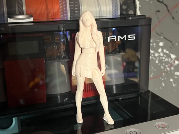 https://makerworld.bblmw.com/makerworld/model/US588cc261e7ed4d/design/2025-02-11_1ed7cd7414017.jpg