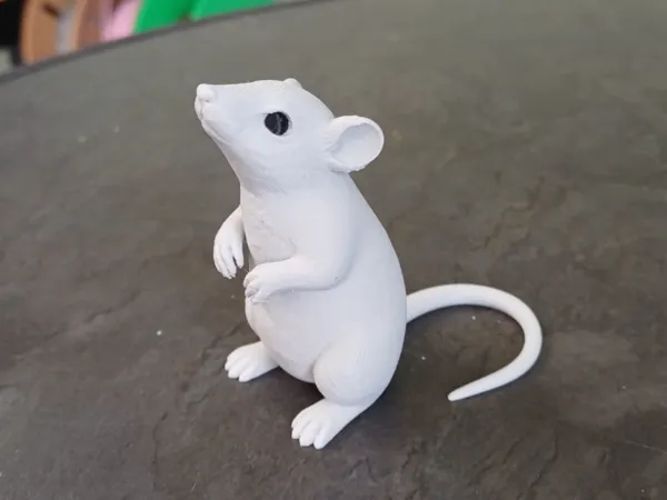 https://makerworld.bblmw.com/makerworld/model/US5898116a56ae8e/design/5969f600dcf243e2.jpg