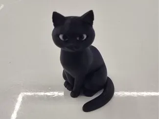Black cat