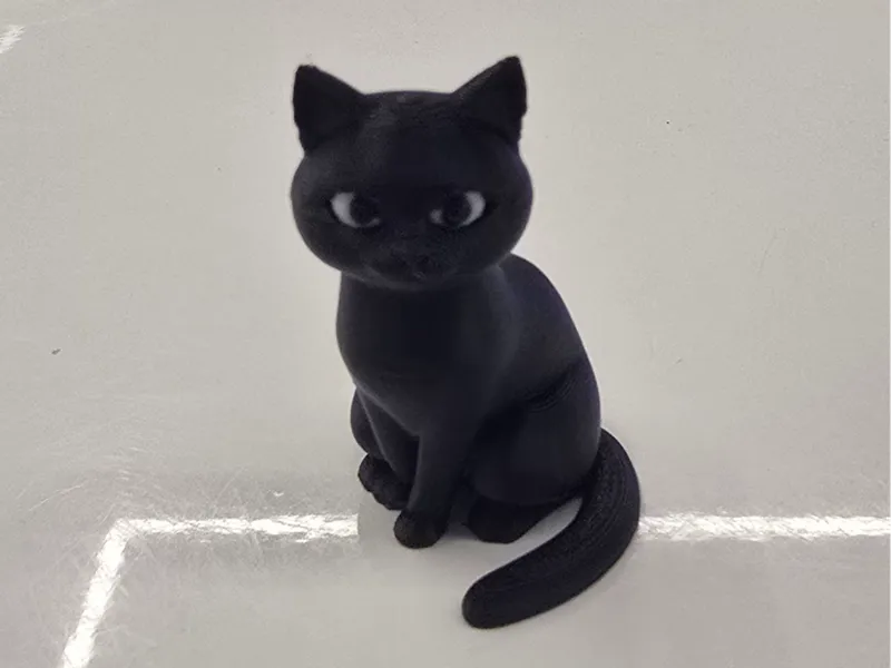 Black cat