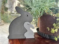 Lapins de Pâques amoureux — photo 2