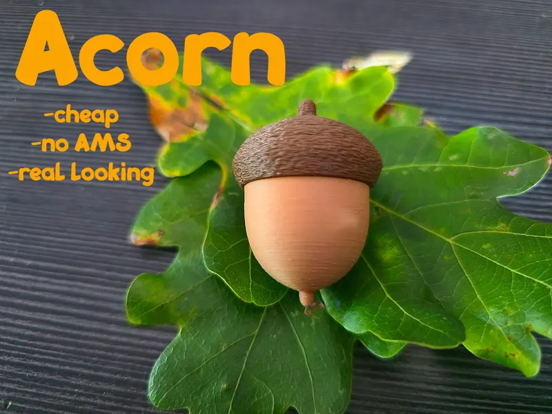 Acorn / no AMS