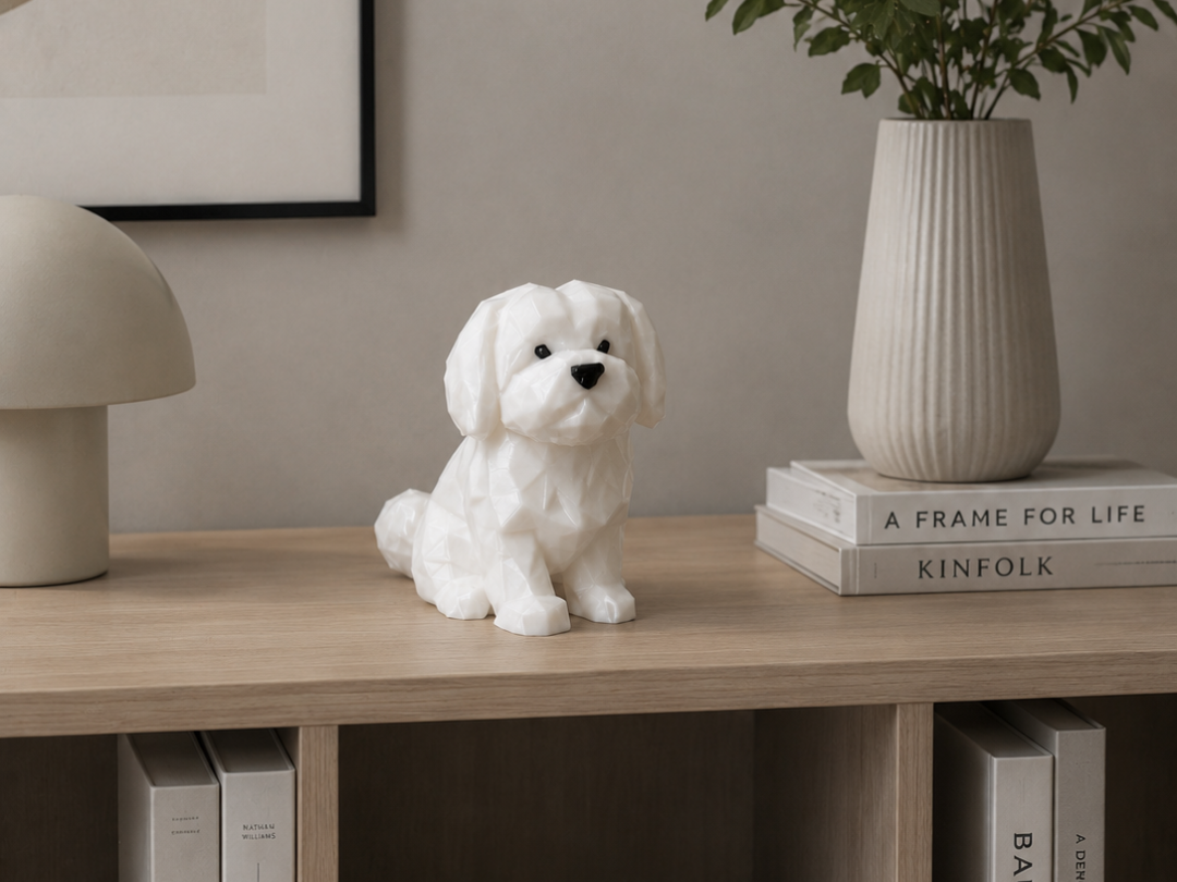 Low Poly Maltese Dog 