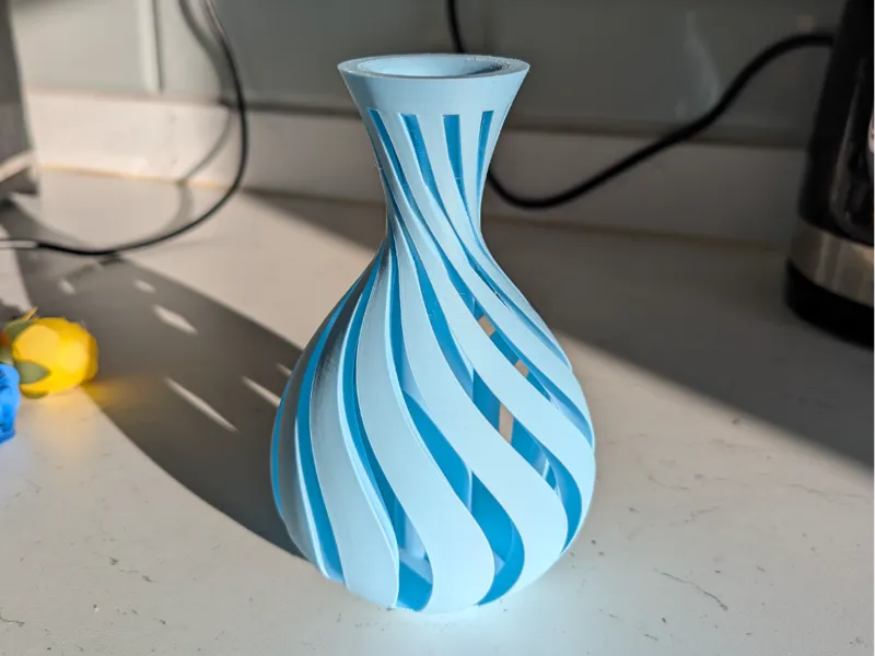 Spiralled Vase (Dry Flowers)