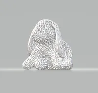 Lapin Voronoï — photo 4