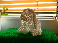Lapin Voronoï — photo 1