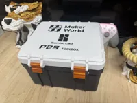 P2S
