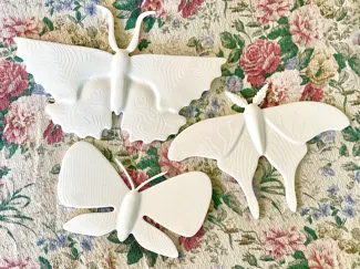 wall moths decoration
