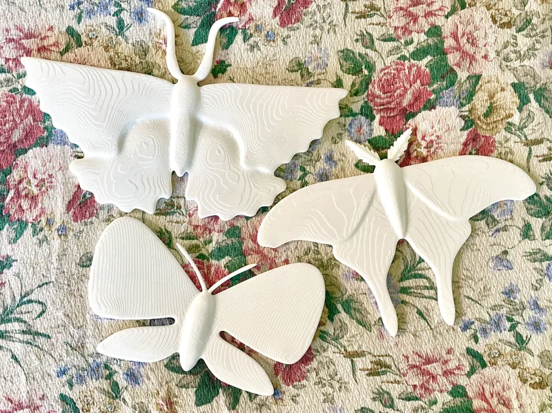wall moths decoration