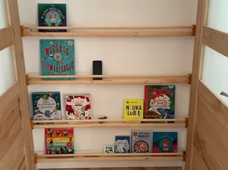 Shelf bracket 