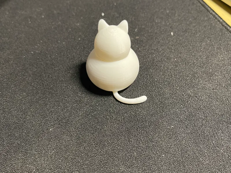 fat cat 胖乎乎的猫咪背影