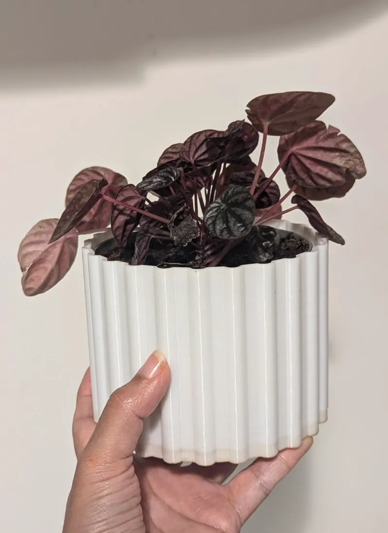 vase modern