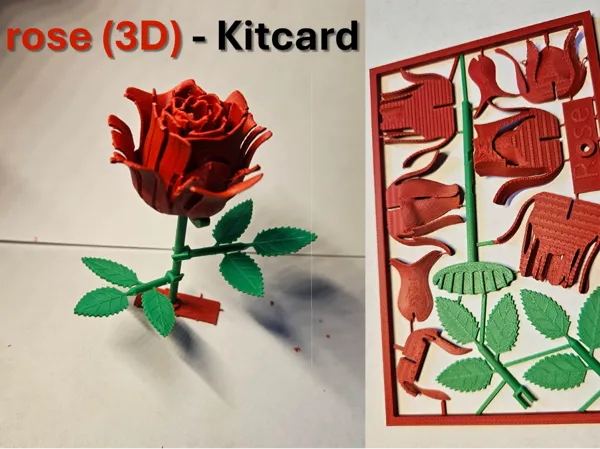 https://makerworld.bblmw.com/makerworld/model/US58af9c3187771c/design/2025-05-01_b8c6f52a3f39b.jpg