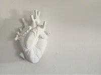 0.16mm layer, 2 walls, 5% infill