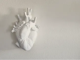 Cuore Anatomico Decorativo da Parete Stile Minimal