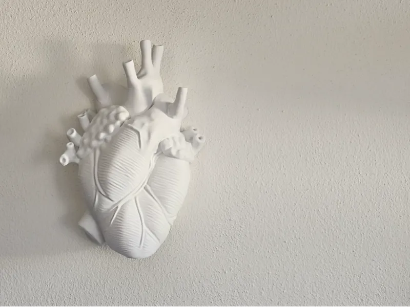 Cuore Anatomico Decorativo da Parete Stile Minimal