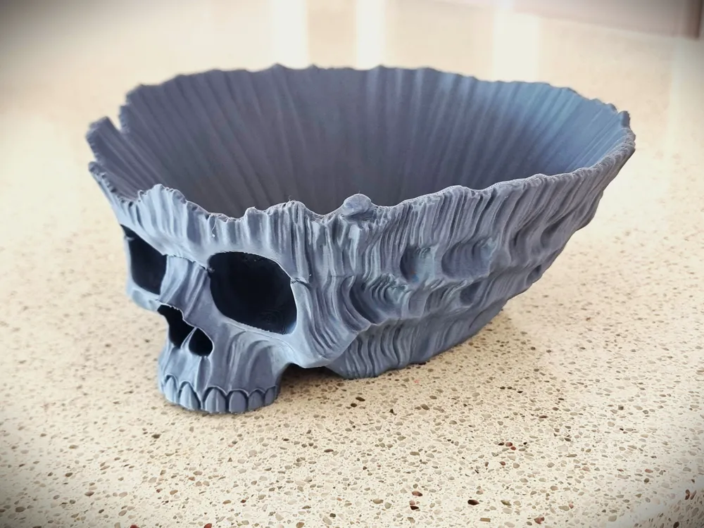 Coral Skull Bowl - Free 3D Print Model - MakerWorld