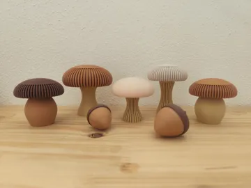Letrero o emblema decorativo: Aura Collection Ribbed Mushrooms Autumn Halloween — vista de referencia 5