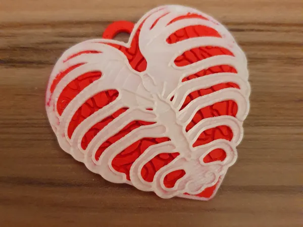 https://makerworld.bblmw.com/makerworld/model/US58bc1b4681fc3c/design/2025-01-31_ee34a582bfcb8.jpg