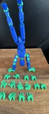 100% all hands, PLA