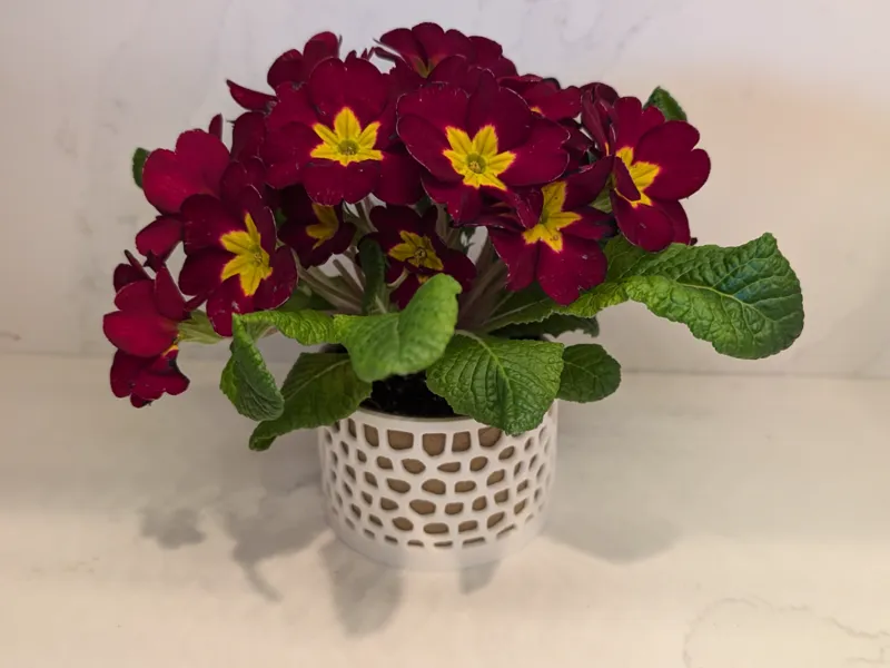 Planter For Reusable Spool