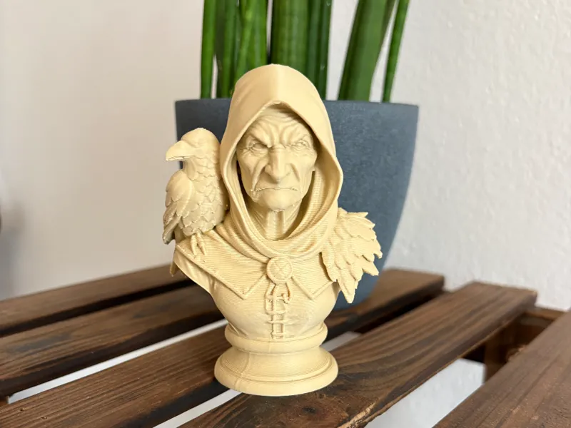 Alte Sorceress / Alte Dame mit Krähe auf Schulter