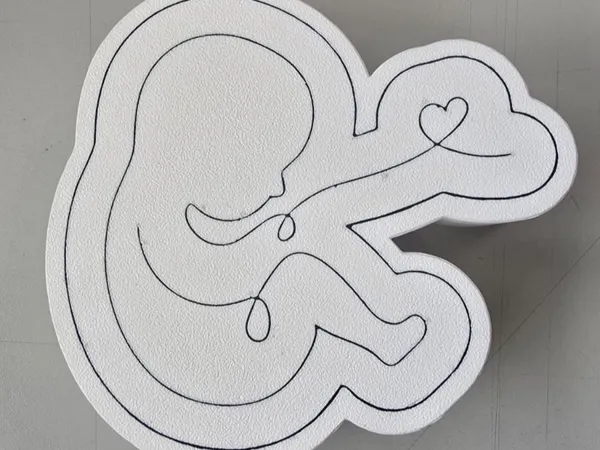 https://makerworld.bblmw.com/makerworld/model/US58c54c2e92e9f2/design/a1749ec7ec041eb7.jpeg