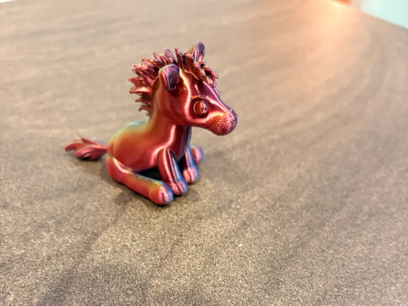 multicolored zebra-zebra multicolore