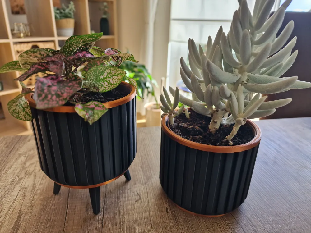 Planter SXXL by DGs 3DPRINT MakerWorld