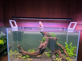 Aquarium light riser (offset)