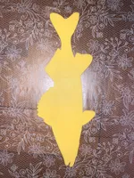 Décoration murale poisson walleye — photo 3