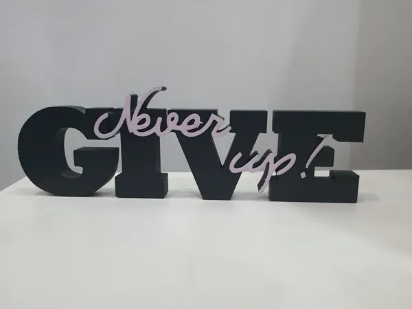 https://makerworld.bblmw.com/makerworld/model/US58cffa5627194d/design/2025-05-11_9f93c95e11034.jpg