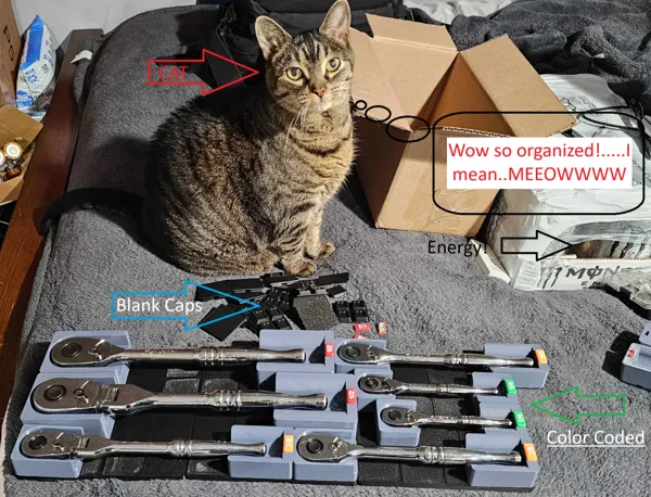 https://makerworld.bblmw.com/makerworld/model/US58d1beb6fcdb53/design/2024-11-14_1afab85e3277.png