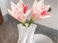 0.2mm 层高, 1 层墙, 0% 填充