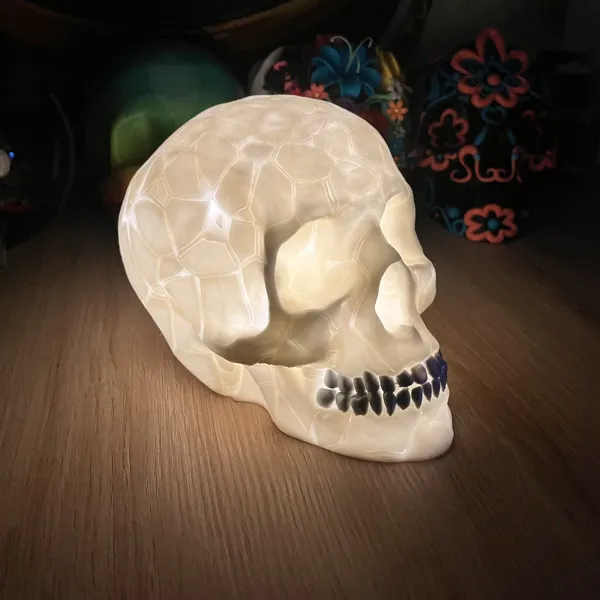 https://makerworld.bblmw.com/makerworld/model/US58d653304bd6f5/design/2024-02-29_5d2ee83ad7f78.jpg